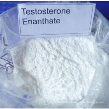 Safe Anabolic Testosterone Enanthate Pharmaceutical Steroids Raw Material CAS 315-37-7